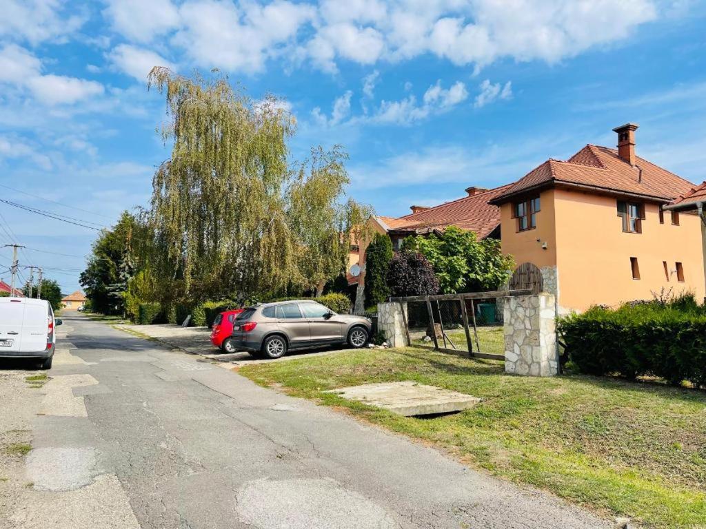 Greenpark Garden Villa Family Apartments Near Tokaj Szerencs Eksteriør bilde